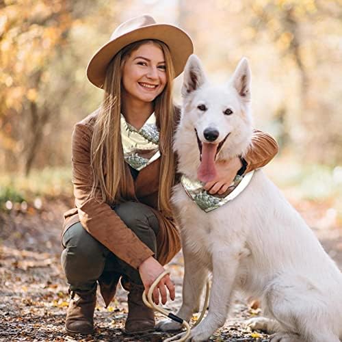 2 Paket Köpek Bandana Hayvan Timsah Timsah Açık Ağız Baskı Pet Eşarp Ayarlanabilir Üçgen Önlükler Fular Köpek Aksesuarları