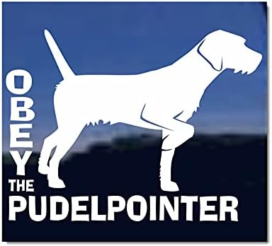 İtaat Pudelpointer ~ Pudelpointer Köpek Vinil Pencere Çıkartması