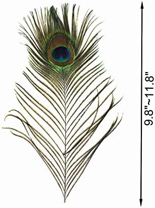 Tinsow 20 ADET Doğal Tavuskuşu Göz Tüyleri 9.8-11.8 inç DIY Craft için, Düğün Tatil Dekorasyon