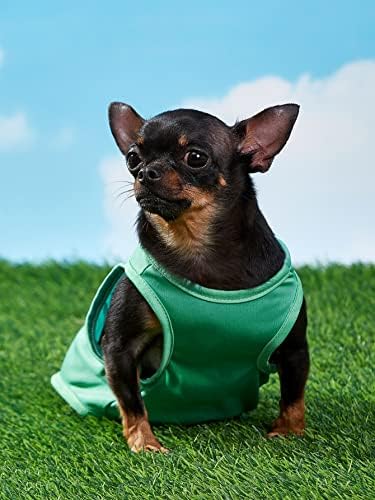 QWİNEE Köpek Tank Top Sevimli Mektup Kedi Gömlek Nefes Rahat Spor Yelek Küçük Orta Köpekler için Yavru Yavru Yeşil