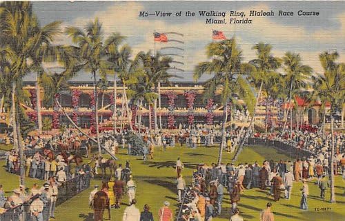 Miami, Florida Kartpostalı