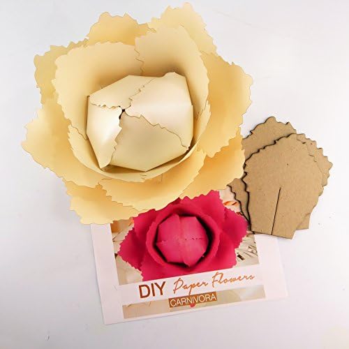 Kağıt Çiçek Şablon Seti Desen DIY kendi çiçek fon fotoğraf kabini çiçek dekorasyonu Kart stoğu Carnivora